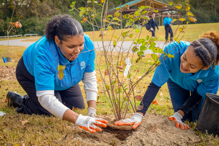 ASEZ Sleepy Hole Tree Planting