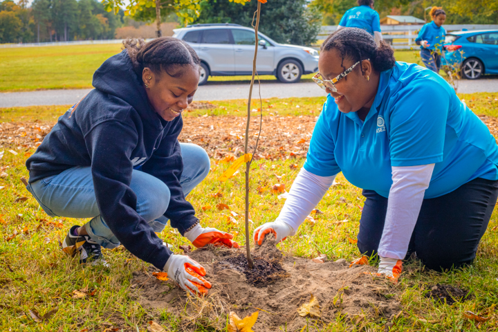 ASEZ Sleepy Hole Tree Planting